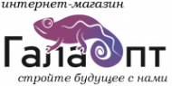 Логотип компании ГалаОпт