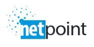 Логотип компании НетПоинт