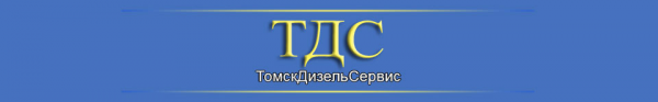 Логотип компании ТомскДизельСервис