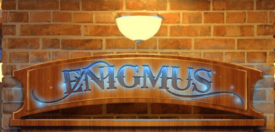 Логотип компании Энигмус