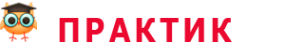 Логотип компании Практик