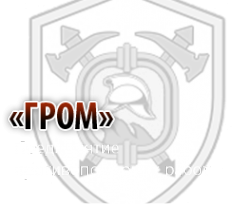 Логотип компании Гром