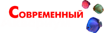 Логотип компании Современный Аквариум