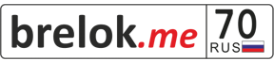 Логотип компании Брелок гос. номер